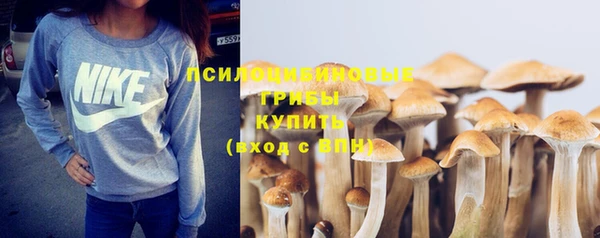 прущие грибы Остров