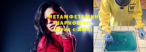 трава Осинники