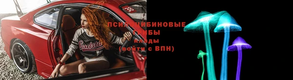 трава Осинники