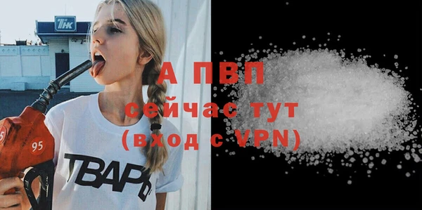 трава Осинники